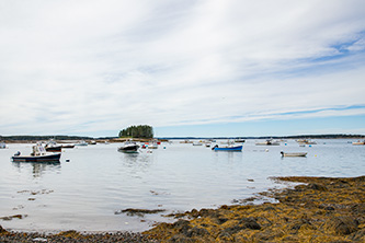 Coast of Maine picture